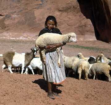 Navajo Girl with Sheep in her Arms